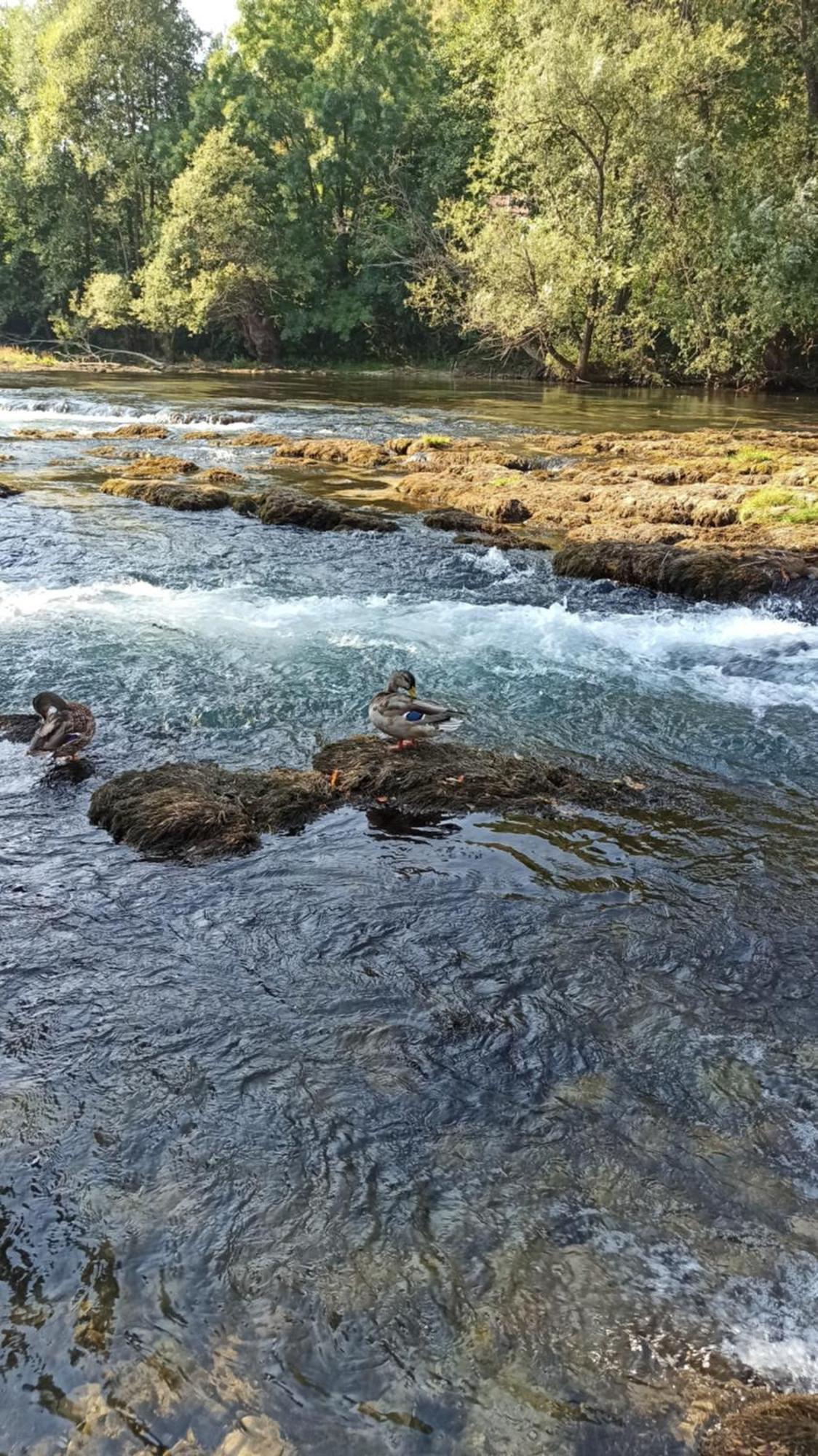 Bungalov Cozy Una Kulen Vakuf Dış mekan fotoğraf
